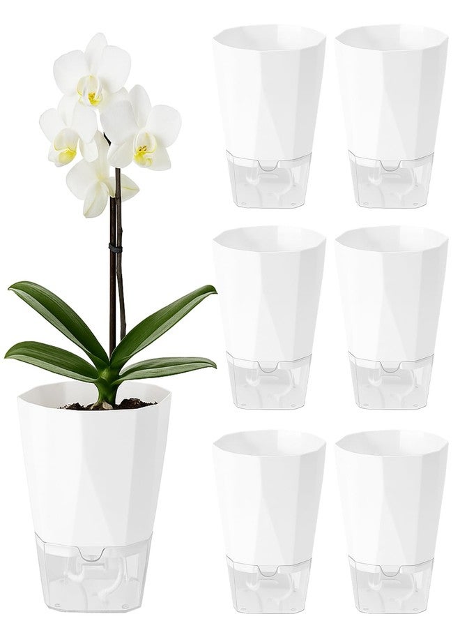 Planterhoma 6 Pack Self Watering Plant Pots 6 Inches Self-Watering Planters for Indoor and Outdoor Plants African Violet Succulent Pots Clear Pot for Plants Large Herb Orchid Flower Houseplant Plant, White - Image 1