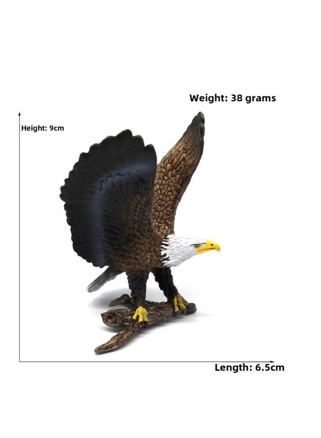 Animal Model Special For Teaching And Education Animal Model Kangaroo Elephant Lion Tiger Deer Ostrich Wolf-Color:4096 Bald Sea Eagle (38g)  - Image 1