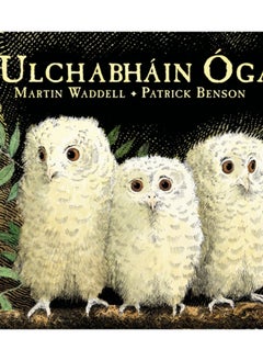 Ulchabhain Oga (Owl Babies) 