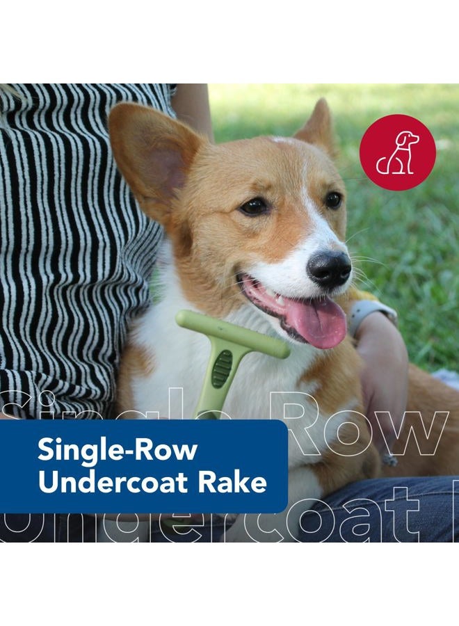 Coastal Pet Safari Single Row Undercoat Rake - Gentle Dematting and Deshedding Tool for Dogs, Pet Grooming Comb - Image 2
