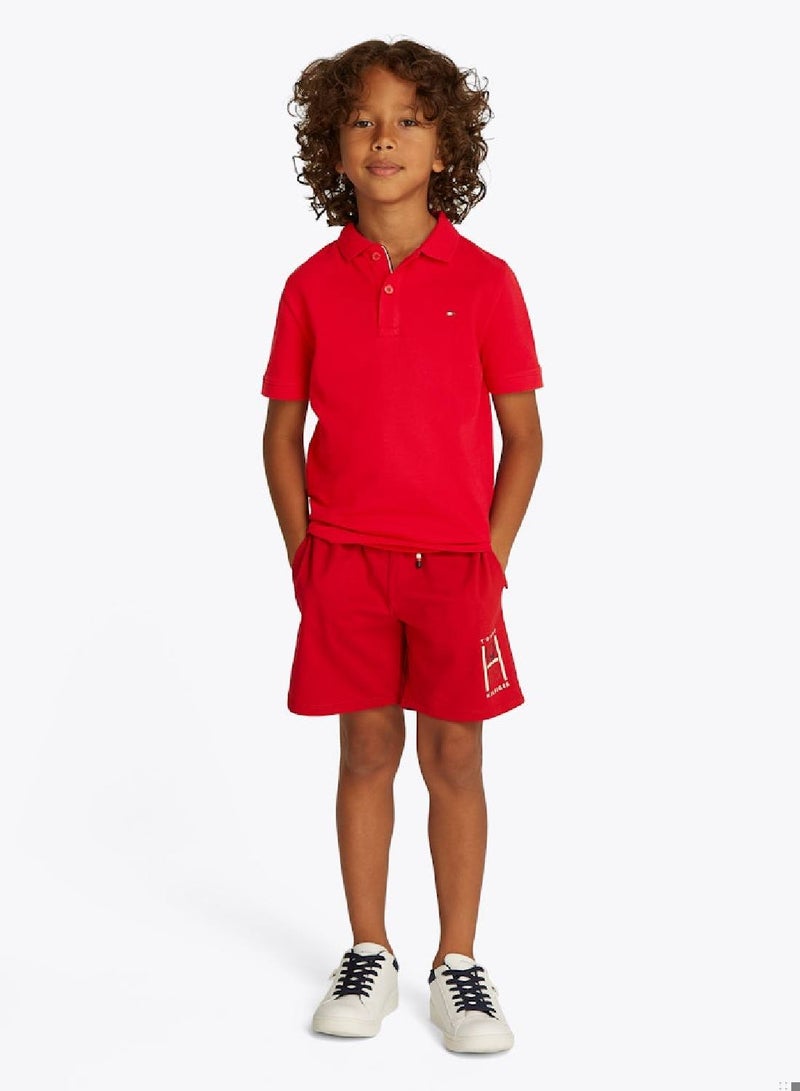 Essential Flag Embroidery Regular Fit Polo