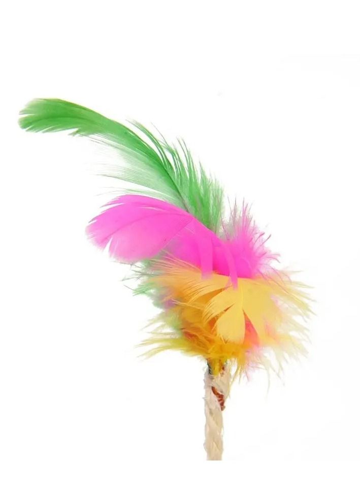 الثقة القط خدش الكرة لعبة تفاعلية للتدريب على لوازم الحيوانات الأليفة القط مضحك اللعب الريش لعبة القط الملحقات 4 قطعة - Image 5