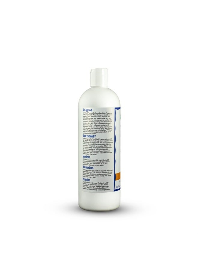earthbath , Oatmeal & Aloe Dog Shampoo – Oatmeal Shampoo for Dogs, Itchy, Dry Skin Relief, Dog Wash, Made in USA, Cruelty Free, Fragrance Free Pet Shampoos – 16 Oz (1 Pack) - Image 1