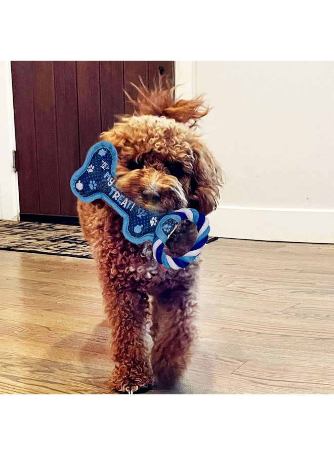 Rite Lite Rite Lite Hanukkah Bone Squeaky Dog Toy - Hanukkah Gifts for Dog Owners, Decorations, Goodie Bag Rewards Jewish Holiday Party Favors Toys Accessories Judaica Decor for All 8 Nights of Chanukah!  - Image 4