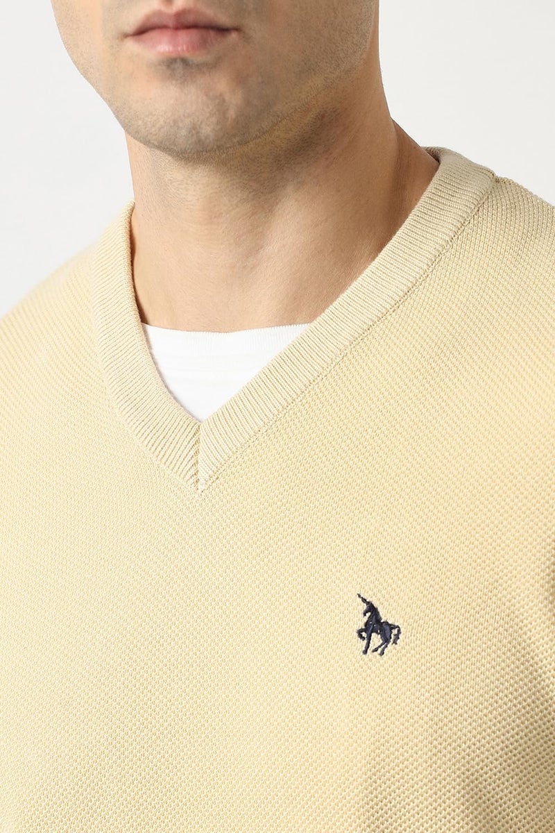 Van Heusen Men Beige Textured V Neck Sweater - Image 4