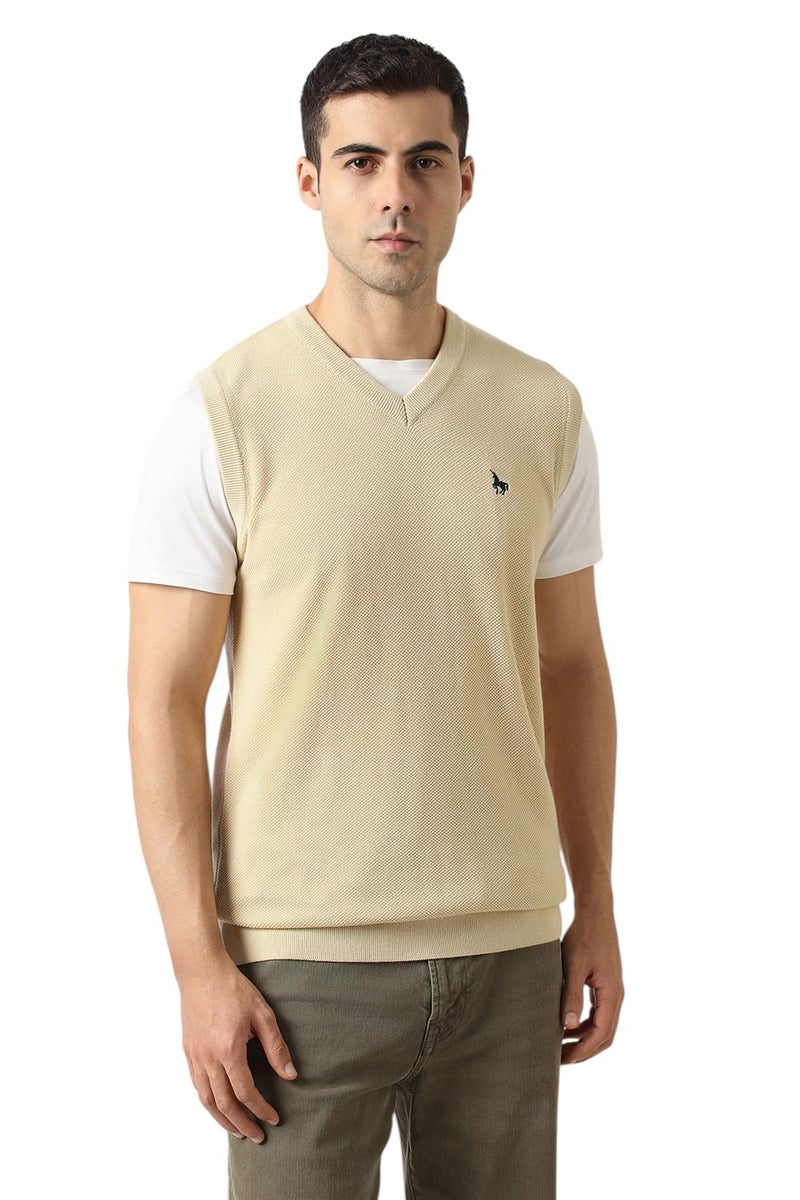 Van Heusen Men Beige Textured V Neck Sweater - Image 1