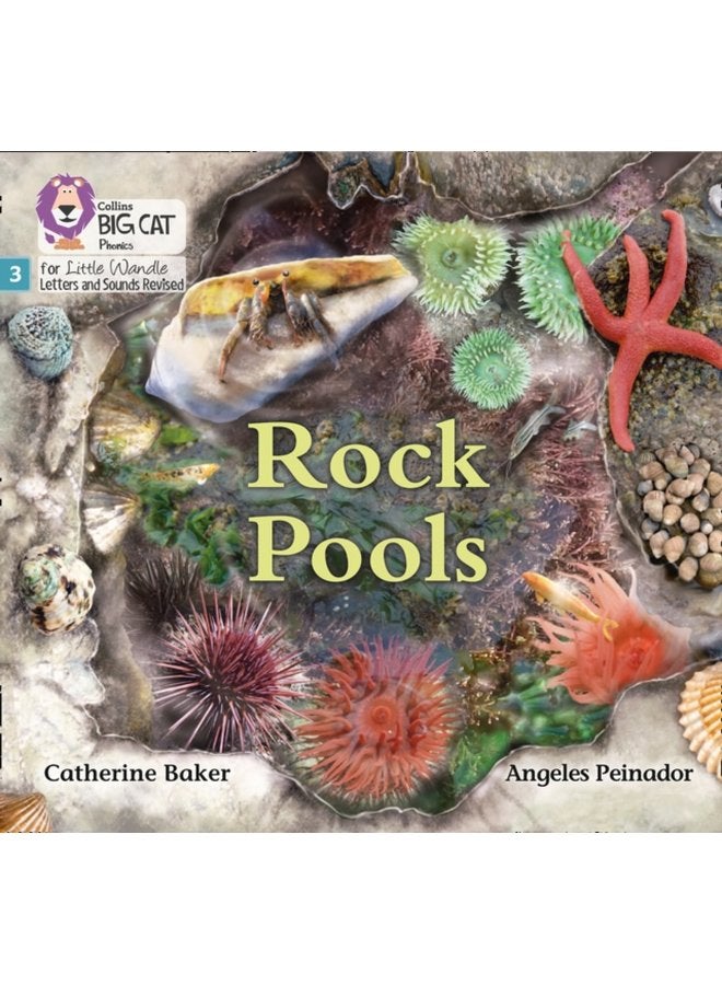 Rock Pools Phase 3 Set 1 - Paperback
