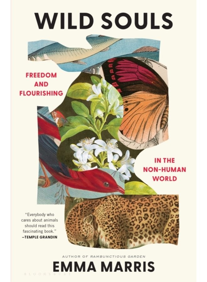 Wild Souls Freedom and Flourishing in the Non Human World - Hardback