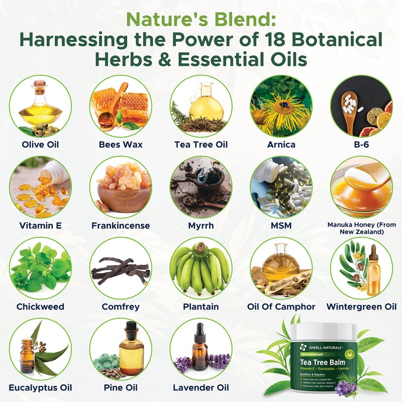 OWELL NATURALS Tea Tree Balm Oil 2 Fl Oz for Itchy, Dry and Cracked Skin, Rashes, Bee Stings, Splinters, Poison Ivy, Insect Bites, Cuts and Burns - Paraben-Free and Made in The USA (1 Pack) - Image 5
