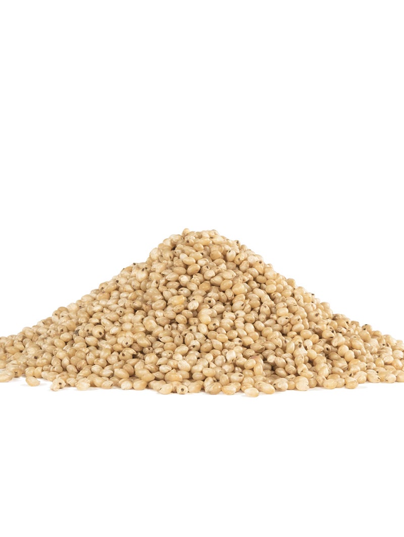 Bob's Red Mill Sorghum Grain, 24oz (Pack of 1) - Whole Grain, Vegan, Kosher - Image 2