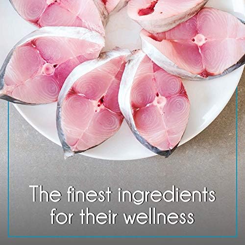 PUREPET طعام جاف للقطط من بيوربت بنكهة سمك المحيط، عبوة 1.2 كجم - Image 3