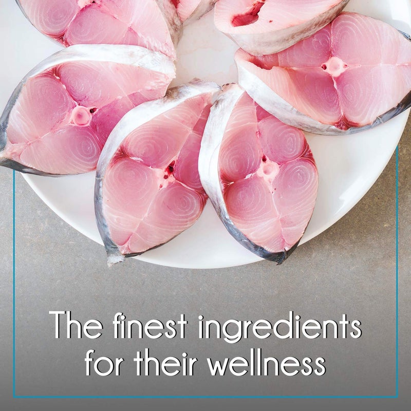 PUREPET طعام جاف للقطط من بيوربت بنكهة سمك المحيط، عبوة 1.2 كجم - Image 5