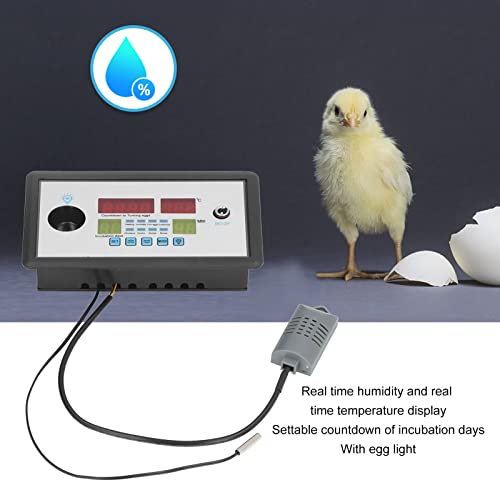 plplaaoo Intelligent Incubator Thermostat,DC 12V 100W Egg Incubator Temperature Controller, Digital Automatic Egg Hatching Incubators Controller for Hatching Duck Eggs Goose Egg - Image 3
