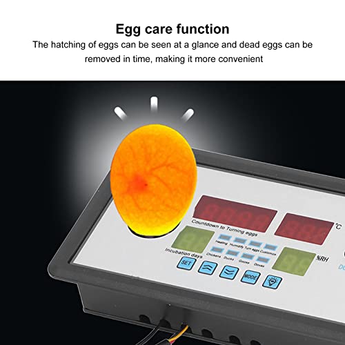 plplaaoo Intelligent Incubator Thermostat,DC 12V 100W Egg Incubator Temperature Controller, Digital Automatic Egg Hatching Incubators Controller for Hatching Duck Eggs Goose Egg - Image 2
