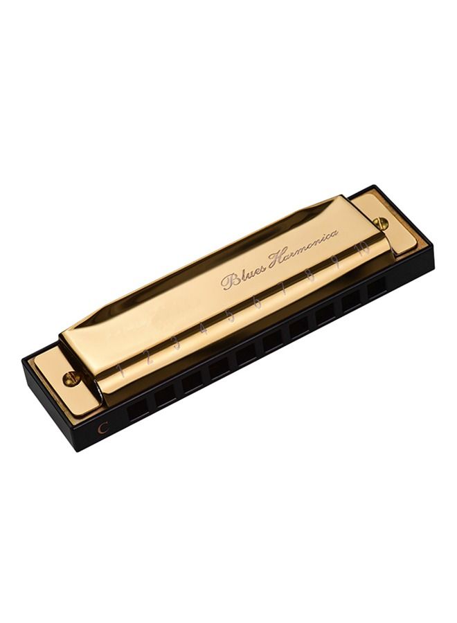 Harmonica 10 Holes Key Of C Blues Harmonica With Cleaning Cloth And Storage Box 
