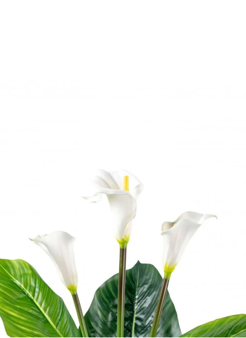 co arma - Artificial tree simulating the amazing calla tree with its natural feel, 110 cm high - Image 1