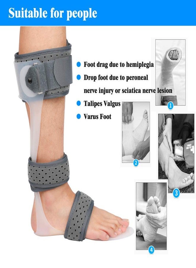 Furlove AFO Drop Foot Brace Medical Ankle Foot Orthosis Support Foot Drop Postural Correction Brace (Right/L) - Image 3