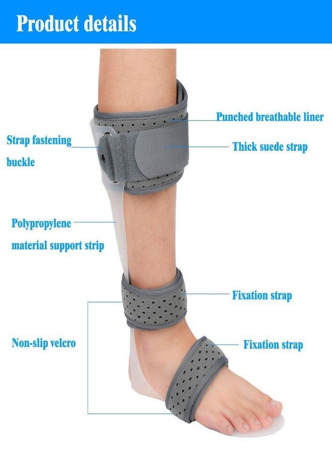 Furlove AFO Drop Foot Brace Medical Ankle Foot Orthosis Support Foot Drop Postural Correction Brace (Right/L) - Image 2