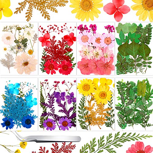 Nuanchu 109 Pieces Dried Pressed Flowers for Resin Real Pressed Blooms Leaves Mixed Variety of Dried Flora with Tweezer for DIY Art Crafts Scrapbooking Candle Nails Decor Soap Making