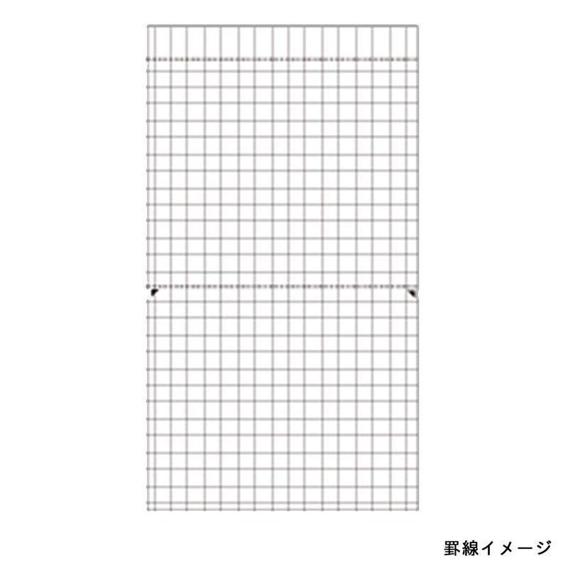 Maruman MNEMOSYNE Notebook 7.09 x 3.94 Inches (Long type), Double perforations, 5mm-squared, 50 Sheets (N177A) - Image 5