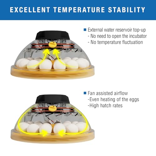 Brinsea Maxi 24 Advance Egg Incubator with Automatic Egg Turning and Temperature Control for Hatching 24 Chicken, Duck, or Other Eggs,- Optimal Flexibility with Mix & Match Sizes - Image 4