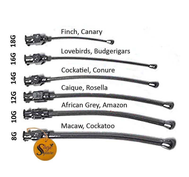 Sage Square Adjustable Hand Feeding Syringe with Full Kit for Birds, Puppy, Kitten, Dog, Cat, Hamster (30 ml) (Set) - Image 3