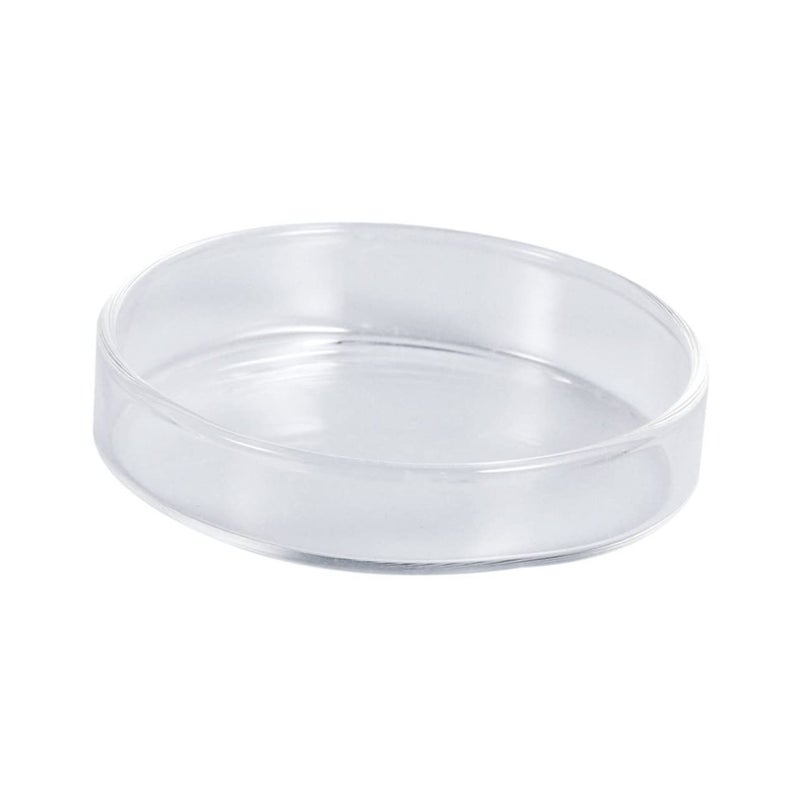 Glass Shrimp Feeding Dish Round Easy Clean Aquarium Fish Tank Feeder Basin - Image 2