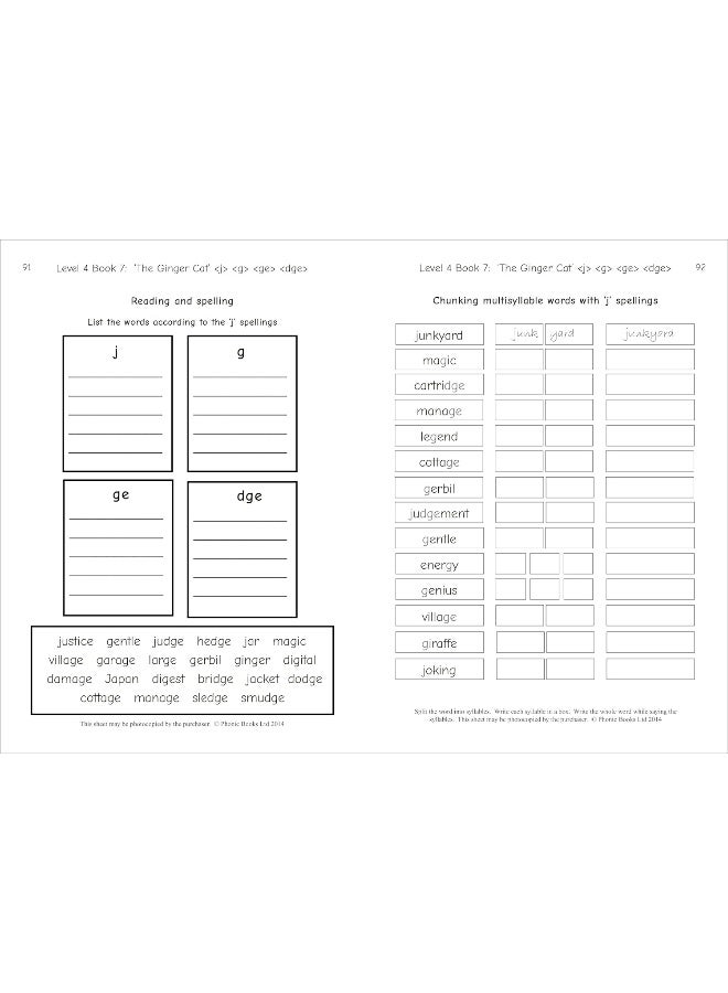 Phonic Books Dandelion Readers Reading and Spellin: Alternative vowel and consonant spellings, and Lat - Image 5