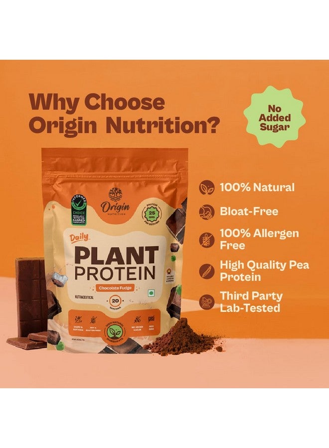 ORIGIN NUTRITION مسحوق بروتين نباتي طبيعي 100% من أوريجن نيوترشن (عزل بروتين البازلاء الأوروبية وبروتين بذور اليقطين) بنكهة الشوكولاتة سهلة الهضم مع 25 جرام من البروتين النباتي، 810 جرام - Image 4