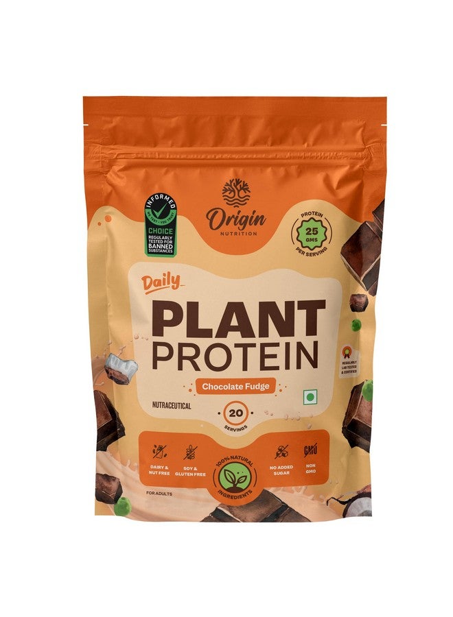 ORIGIN NUTRITION مسحوق بروتين نباتي طبيعي 100% من أوريجن نيوترشن (عزل بروتين البازلاء الأوروبية وبروتين بذور اليقطين) بنكهة الشوكولاتة سهلة الهضم مع 25 جرام من البروتين النباتي، 810 جرام - Image 1