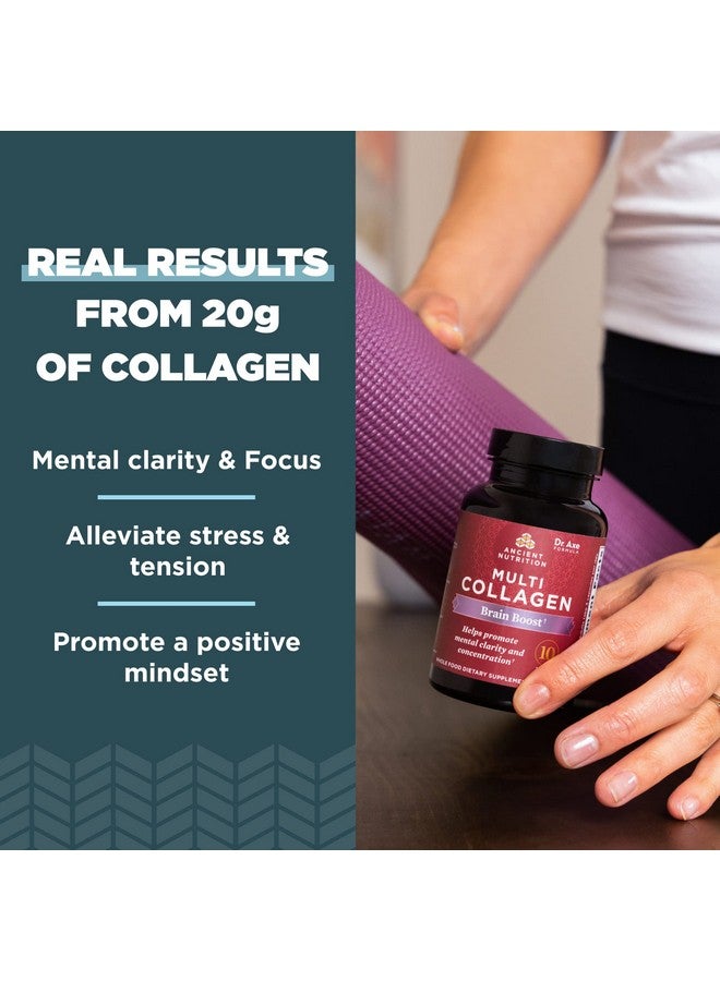 Ancient Nutrition كبسولات بروتين الكولاجين لتعزيز الدماغ - مكمل بروتين الكولاجين لإدارة التوتر وتقليل انزعاج المفاصل - بشرة وأظافر صحية 90 حبة - Image 4