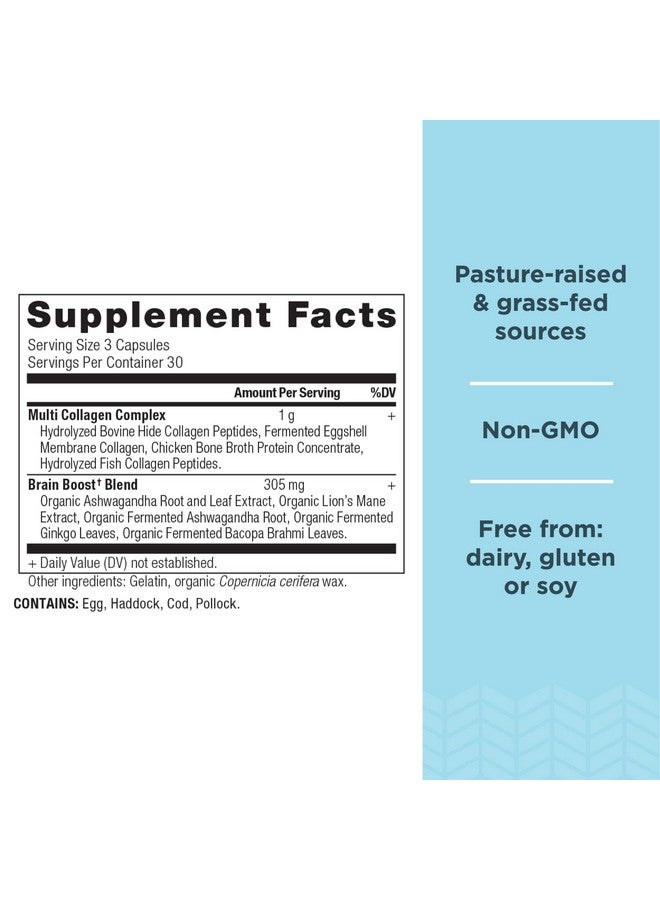 Ancient Nutrition كبسولات بروتين الكولاجين لتعزيز الدماغ - مكمل بروتين الكولاجين لإدارة التوتر وتقليل انزعاج المفاصل - بشرة وأظافر صحية 90 حبة - Image 3