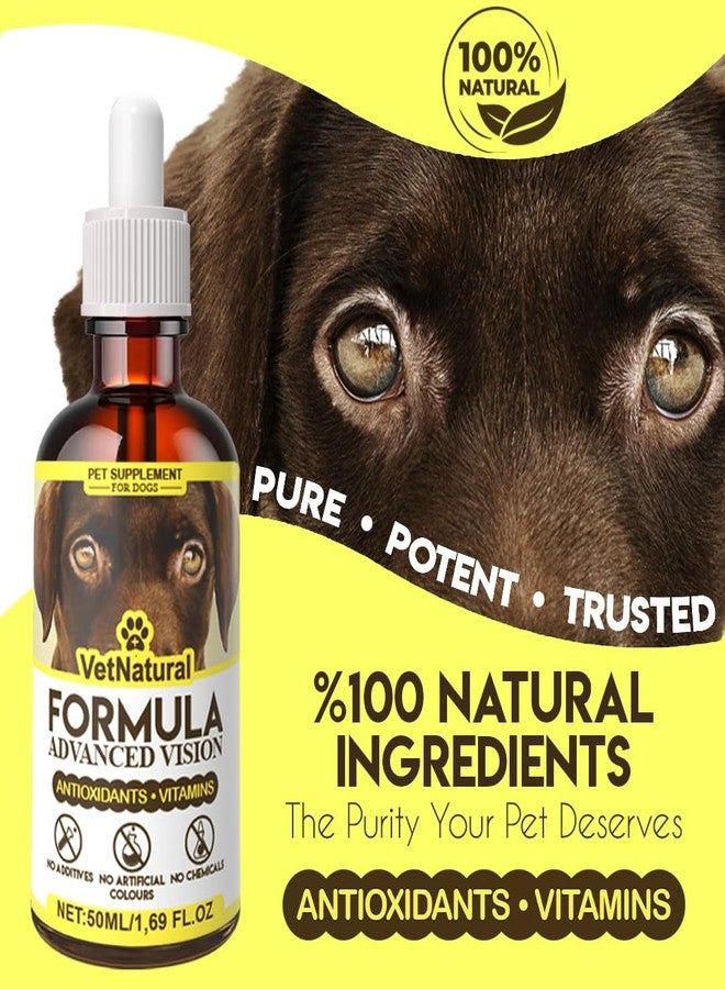 تركيبة VetNatural المتقدمة للرؤية للكلاب، مستخلص التوت البري + اللوتين + الزياكسانثين، تدعم الرؤية الواضحة وتساعد على دعم صفاء العين لدى الكلاب التي تعاني من عيون ضبابية، 50 مل (1.69 أونصة سائلة) - Image 2