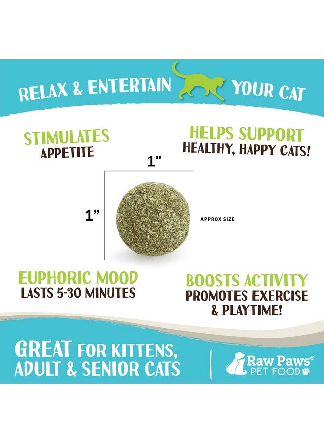 Raw Paws Catnip Balls for Cats, 6 (Pack) - Interactive Cat Toy for Indoor Cats - Cat Nip Licking Balls - Image 2