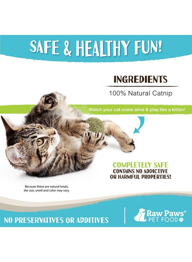 Raw Paws Catnip Balls for Cats, 6 (Pack) - Interactive Cat Toy for Indoor Cats - Cat Nip Licking Balls - Image 3
