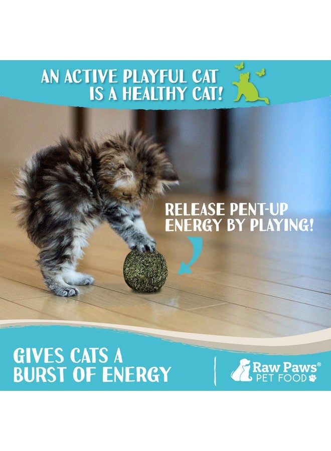 Raw Paws Catnip Balls for Cats, 6 (Pack) - Interactive Cat Toy for Indoor Cats - Cat Nip Licking Balls - Image 4