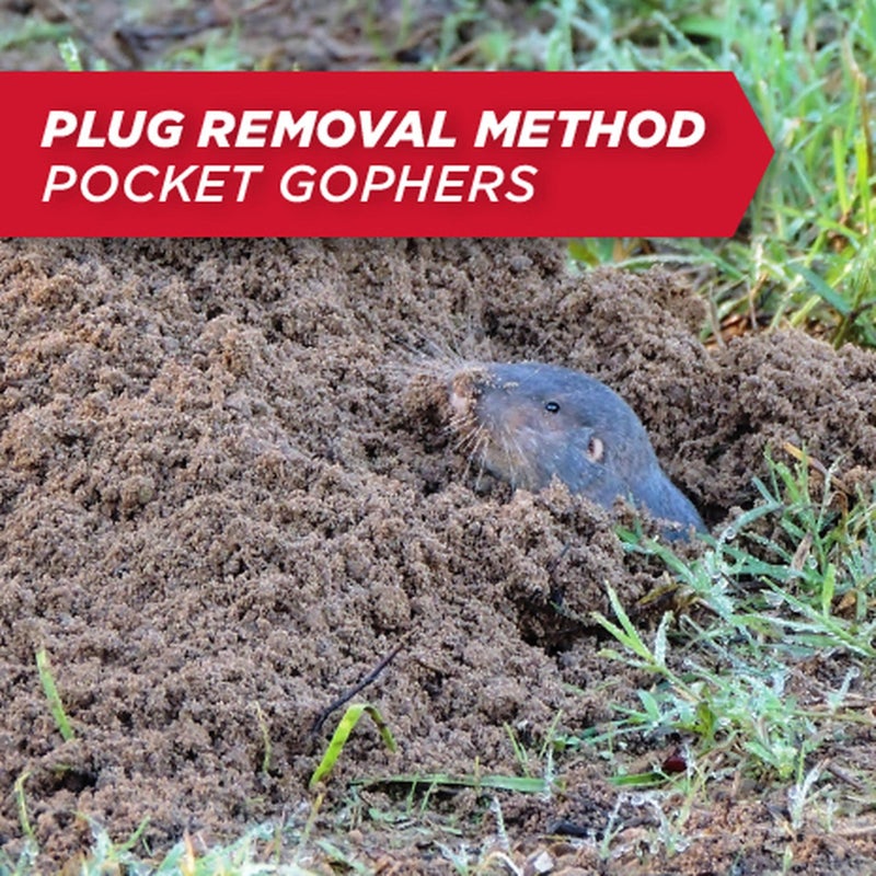 Amdro Mole & Gopher Bait 1 LB, 100510486, Black label - Image 3