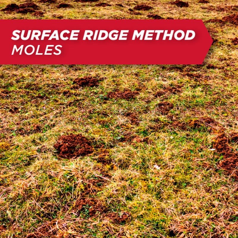 Amdro Mole & Gopher Bait 1 LB, 100510486, Black label - Image 4
