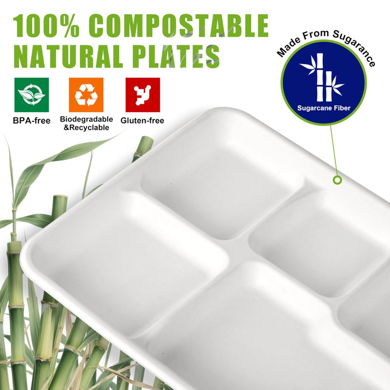 WELLIFE 100% Compostable 5 Compartment Paper Plates  10.25 * 8.25 Inch 125 Pack Heavy Duty Divided Disposable School Lunch Trays  Eco-Friendly Bagasse Plates for Boys  Girls and Youth (BPA Free) - Image 4