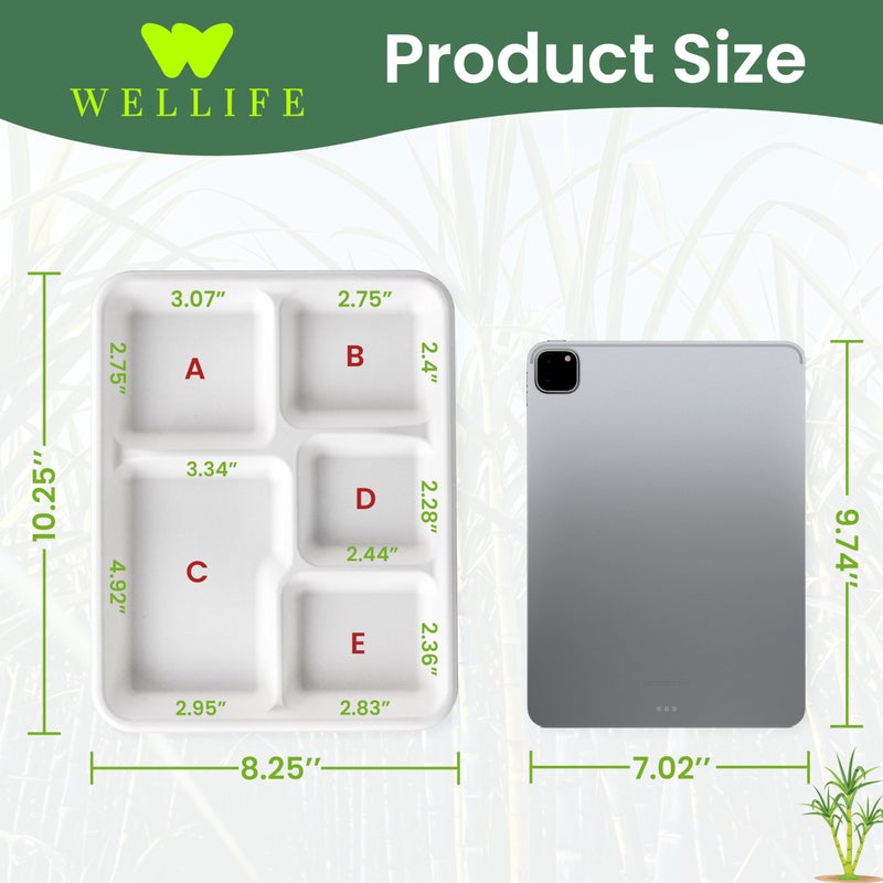 WELLIFE 100% Compostable 5 Compartment Paper Plates  10.25 * 8.25 Inch 125 Pack Heavy Duty Divided Disposable School Lunch Trays  Eco-Friendly Bagasse Plates for Boys  Girls and Youth (BPA Free) - Image 2