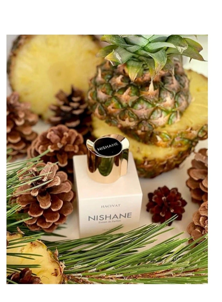 Nishane Nishani Hashivat Extrait de Parfum 100ml - Image 4