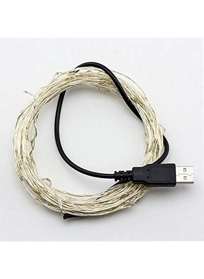 سلسلة مصابيح LED مقاومة للماء من سلك نحاسي فضي بمنفذ USB 5 فولت 10 متر 100 مصباح