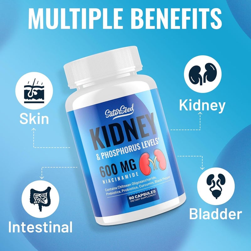 SatorSeed Kidney Cleanse Detox  Repair  Kidney Support Supplement with 600mg Niacinamide Chitosan Oligosaccharide Curcumin Probiotics  Phosphorus Binder  60 Capsules - Image 2