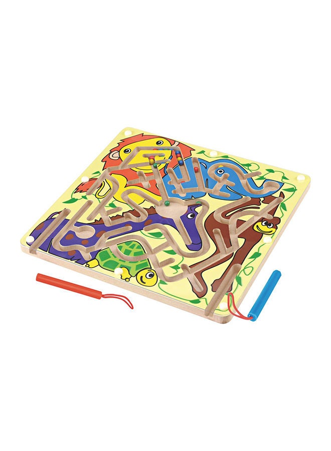 NIBEMINENT Magnetic Pen Maze - Image 1