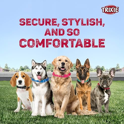 Trixie Premium Dog Collar Belt, Stylish Design, Adjustable Webbing Tape, Strain Relief, with Leash Connector, Neck Collar for Dogs, 35-55 cm (M-L, Papaya),Nylon - Image 4