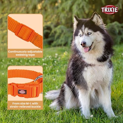 Trixie Premium Dog Collar Belt, Stylish Design, Adjustable Webbing Tape, Strain Relief, with Leash Connector, Neck Collar for Dogs, 35-55 cm (M-L, Papaya),Nylon - Image 2