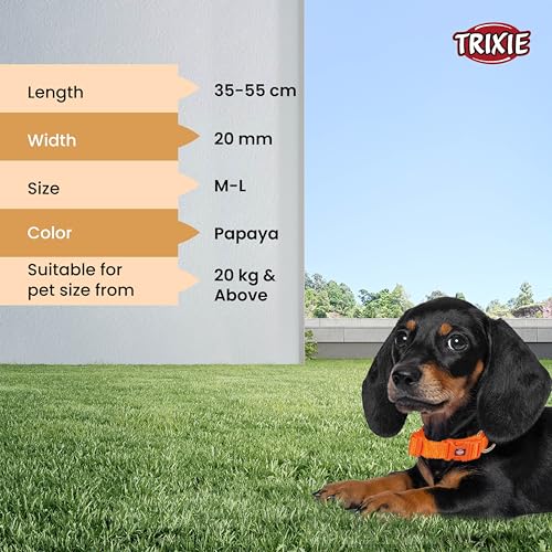Trixie Premium Dog Collar Belt, Stylish Design, Adjustable Webbing Tape, Strain Relief, with Leash Connector, Neck Collar for Dogs, 35-55 cm (M-L, Papaya),Nylon - Image 5