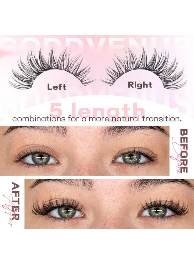 Goddvenus Lash Clusters Kit Wispy Eyelash Clusters Lashes Natural DIY Lash Extension Kit 10-16mm Cluster Eyelash Extensions Kit 300pcs C Curl Individual Lashes Cluster Eyelashes for Eyelash Extension Goddvenus - Image 5