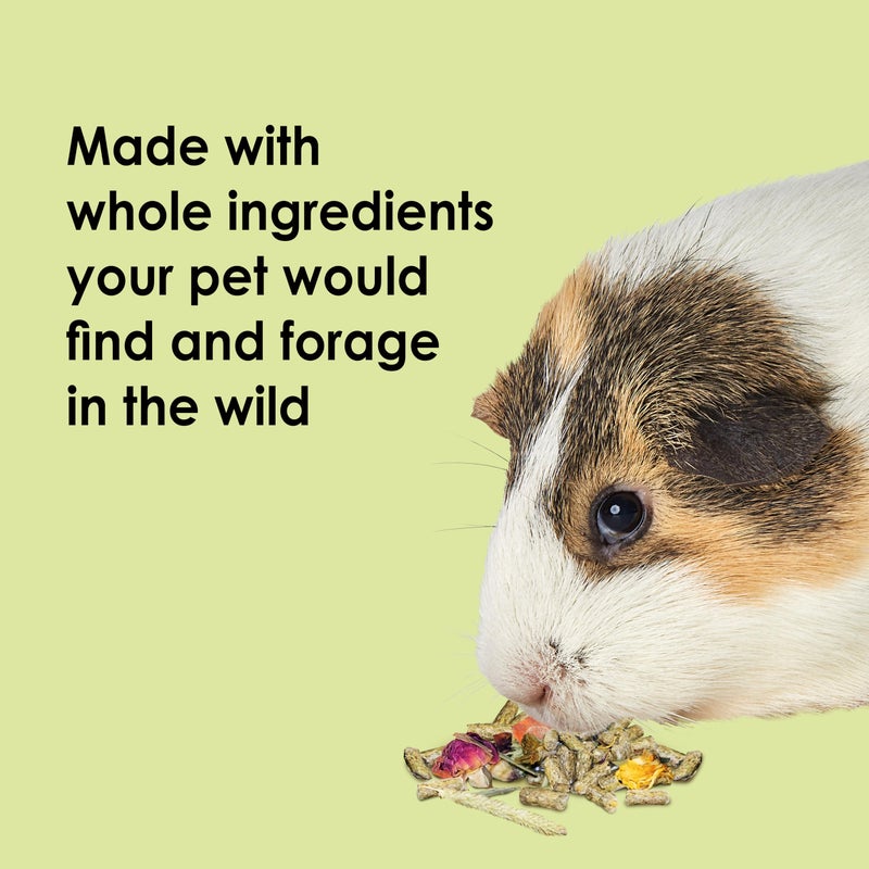 Kaytee Food from The Wild Natural Pet Guinea Pig Food, 4 Pound - Image 3