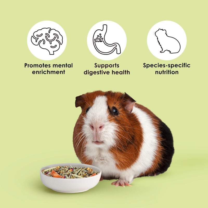 Kaytee Food from The Wild Natural Pet Guinea Pig Food, 4 Pound - Image 4